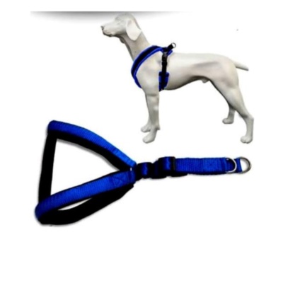 PP Body Belt