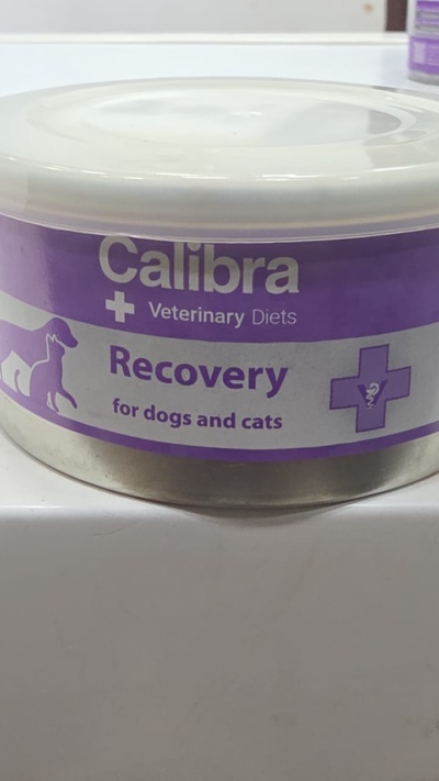 Calibra Dog Cat Recovery 100gm